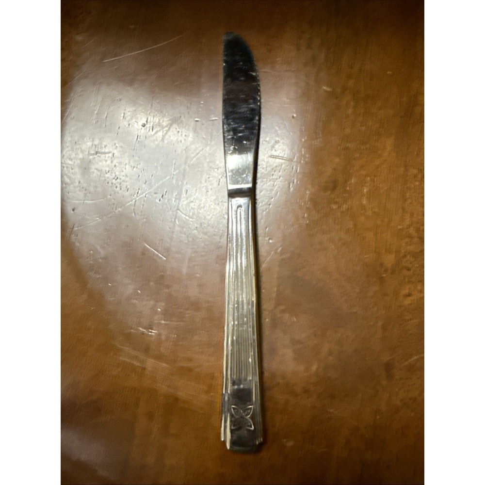Park Place Dinner Knife(With Flower) Oneida‎ Stainless Flatware 8.5"